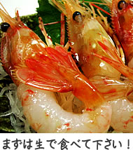 まずは生で