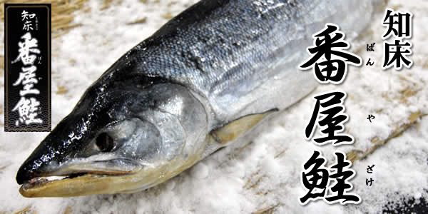 知床番屋鮭