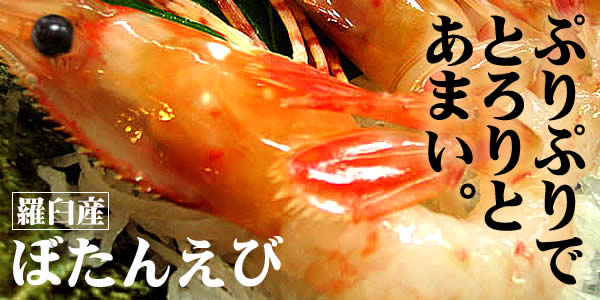 botan-page-bnn.jpg