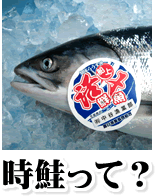 時鮭って？