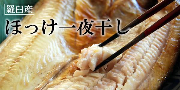 hokke-page-bnn.jpg