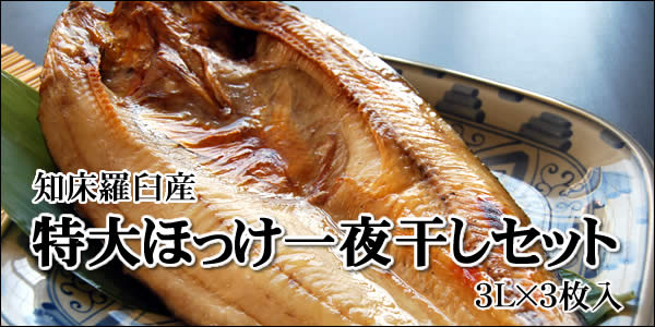 hokke3l.jpg