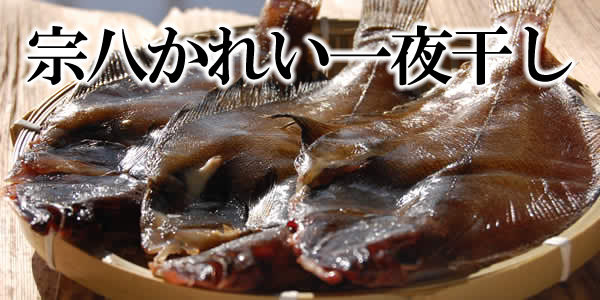 souhachi-page-bnn.jpg