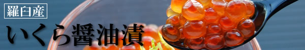 羅臼産・鮭いくら醤油漬