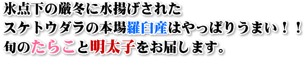 氷点下の厳冬に水揚げされたスケトウダラの本場羅臼産はやっぱりうまい！！旬のたらこと明太子をお届します。