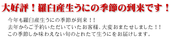 大好評！羅臼産生うにの季節到来です！
